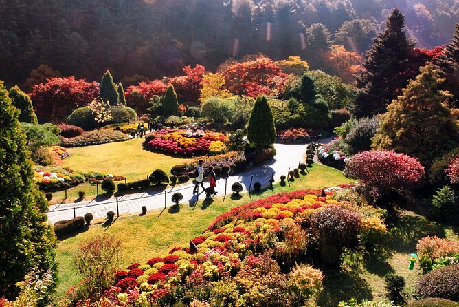 Nami Island & Garden of Morning Calm & Gangchon Railbike Tour - Is $75.73 good value?