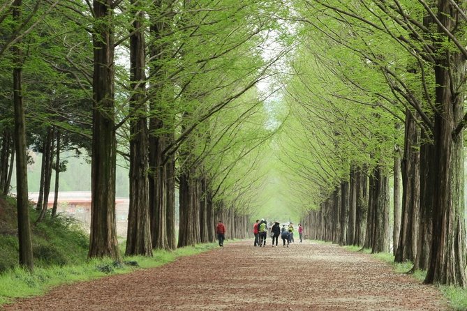 Nami Island& Petite France& Garden of Morning Calm& Italian Village One-Day Tour - Italian Village: a European-themed addition