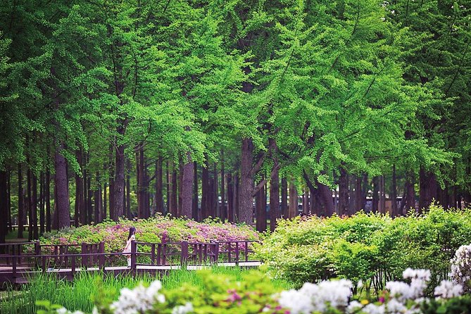 Nami Island& Petite France& Garden of Morning Calm& Italian Village One-Day Tour - Garden of Morning Calm: the quietest part of the day