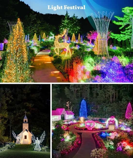 Nami Island, Railbike & Alpaca Garden Day Trip from Seoul - Who should book this outing?