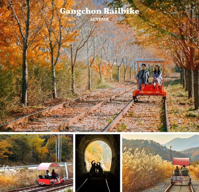 Nami Island, Railbike & Alpaca Garden Day Trip from Seoul - Nami Island under autumn trees