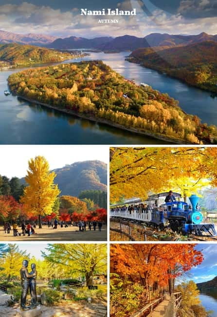Nami Island, Railbike & Alpaca Garden Day Trip from Seoul - Pedaling the Gangchon Railbike