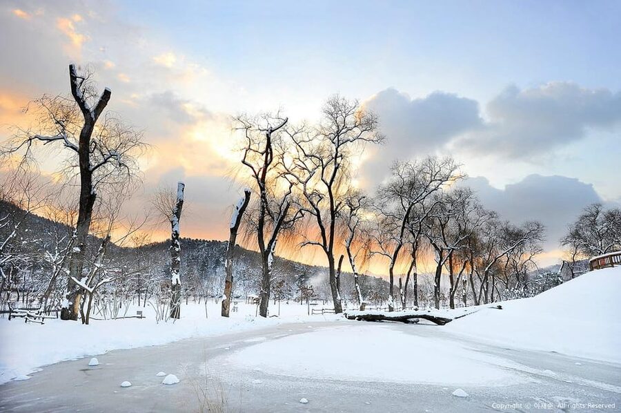 Nami Island, Railbike & Alpaca Garden Day Trip from Seoul - The guide and the human side of the day
