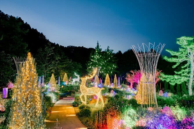 Nami & Petite France & Morning calm & Garden Light Festival - Why this countryside day works from Seoul