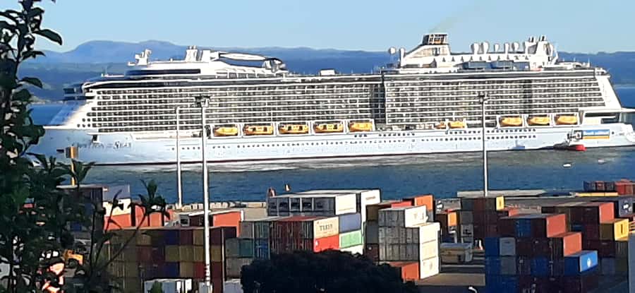 Napier: Art-Deco + Te Mata Peak+ Garden Walk + Wine Tasting - Timing, weather, and cruise-day planning