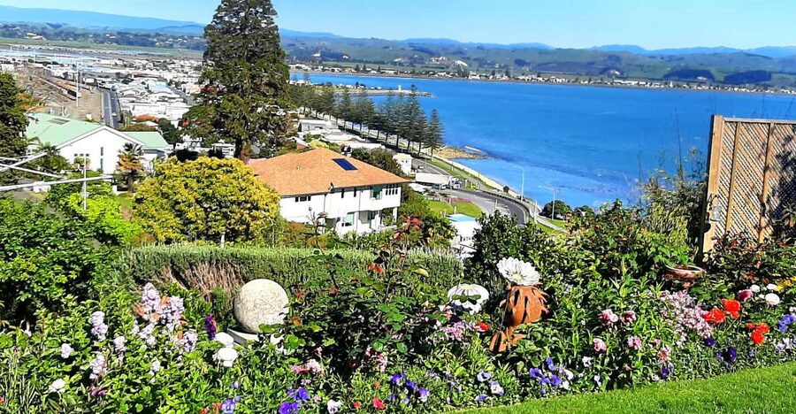 Napier: Art-Deco + Te Mata Peak+ Garden Walk + Wine Tasting - The guide’s garden at 26A Seapoint Road