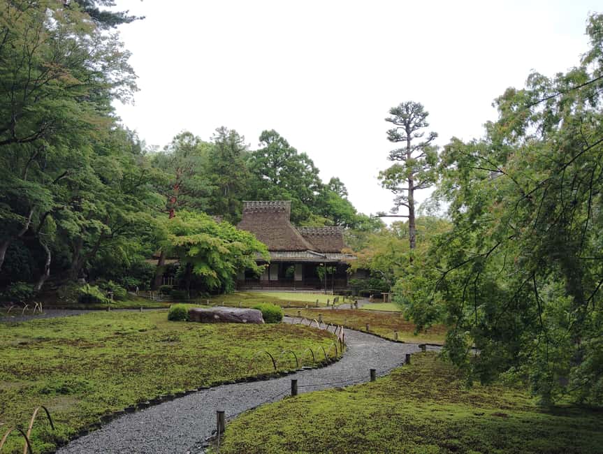 Nara: Yoshikien and Isuien Gardens Tour with Tea Tasting - What $83 buys you