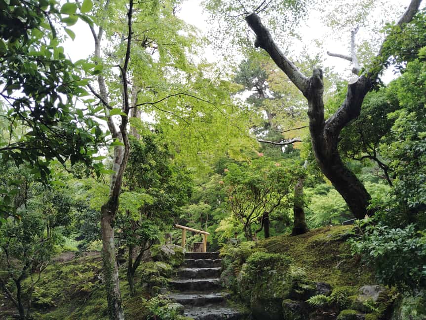 Nara: Yoshikien and Isuien Gardens Tour with Tea Tasting - Timing, cancellation, and planning details