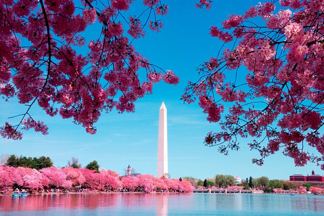 National Mall & Cherry Blossoms Tour with Optional Museum Tickets - Optional museums and the Washington Monument