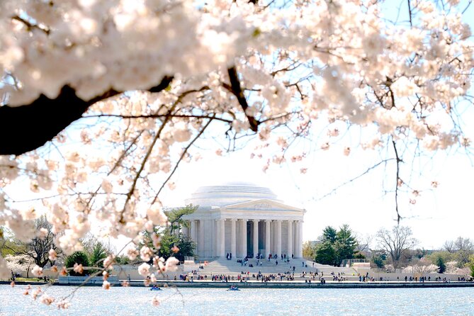 National Mall & Cherry Blossoms Tour with Optional Museum Tickets - Timing, walking, and comfort