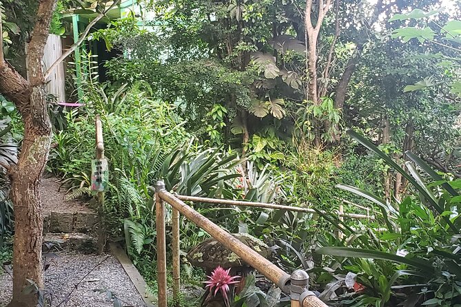 Nature and Sightseeing at Phantasea Tropical Botanical Garden - Why the small group size matters