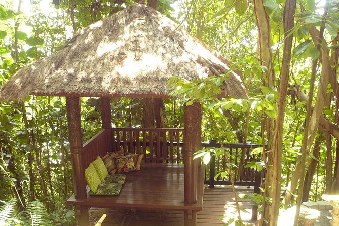 Nature and Sightseeing at Phantasea Tropical Botanical Garden - Pickup, timing, and the two-hour schedule