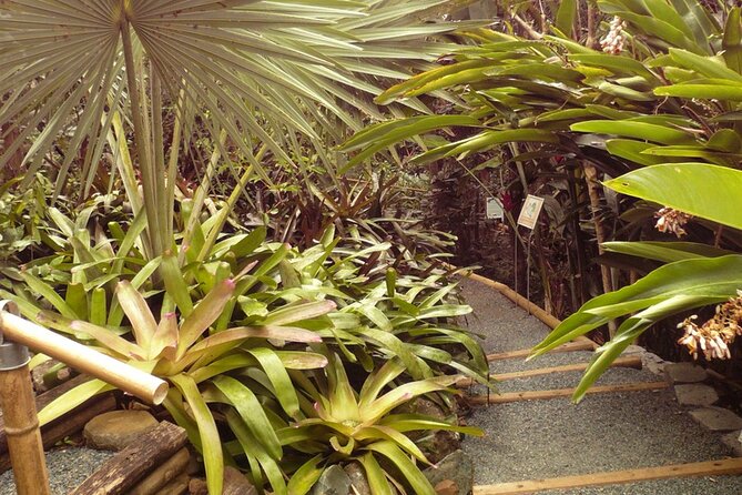 Nature and Sightseeing at Phantasea Tropical Botanical Garden - Practical details for a smoother visit