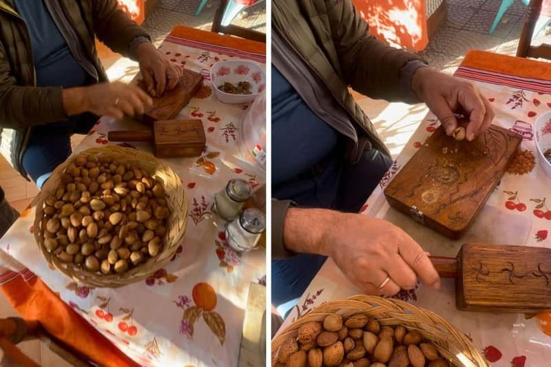 Near Cagliari: Almond Blossom Magic at "In Our Garden" (new) - Why almond trees make a good Sardinian introduction
