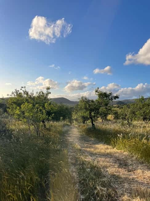Near Cagliari: Almond Blossom Magic at "In Our Garden" (new) - Who will enjoy this most