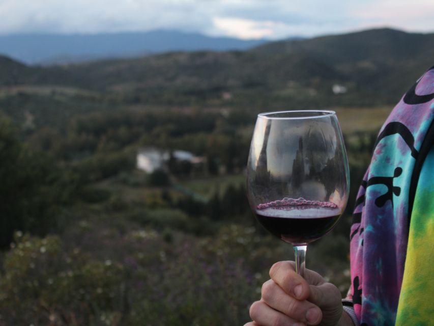 Near Cagliari: The World of Natural Wine at "In Our Garden" - Who should book this farm experience?