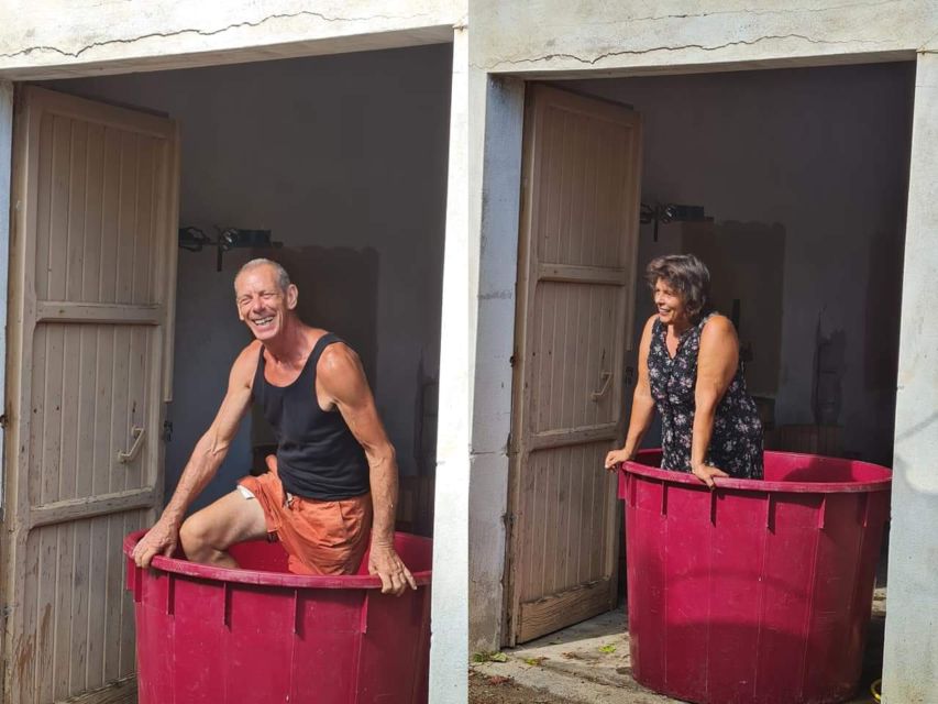 Near Cagliari: The World of Natural Wine at "In Our Garden" - Tasting handmade wine with a Sardinian merenda