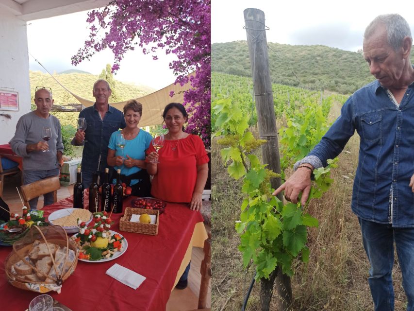 Near Cagliari: The World of Natural Wine at "In Our Garden" - Hammocks, herbal tea, and a slower finish