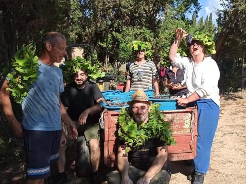 Near Cagliari: The World of Natural Wine at "In Our Garden" - Getting there by car or bus from Cagliari