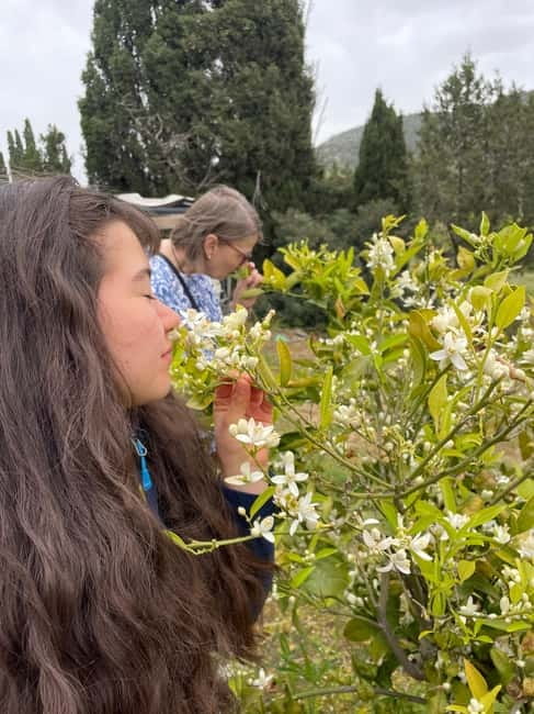 Near Cagliari: Wild Herbs and Healing at "In Our Garden" - Key points at a glance