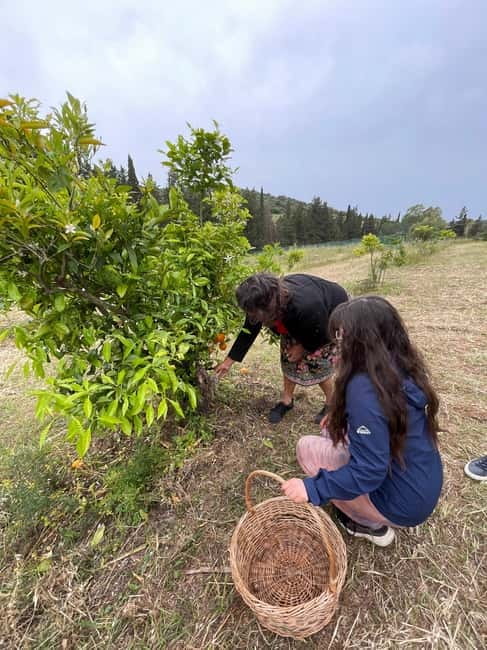 Near Cagliari: Wild Herbs and Healing at "In Our Garden" - The two-hour walk through Sardinian countryside