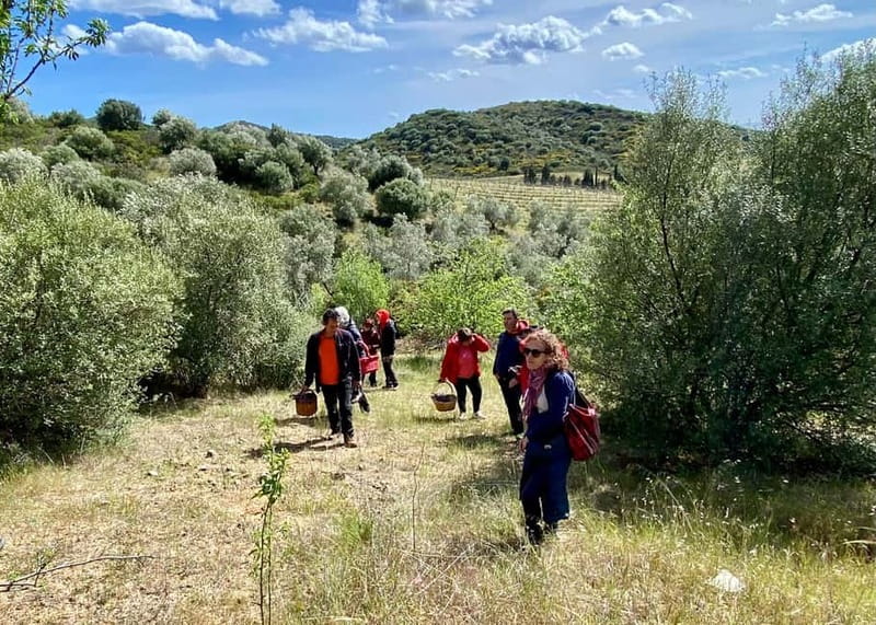 Near Cagliari: Wild Herbs and Healing at "In Our Garden" - Learning to identify edible and medicinal plants