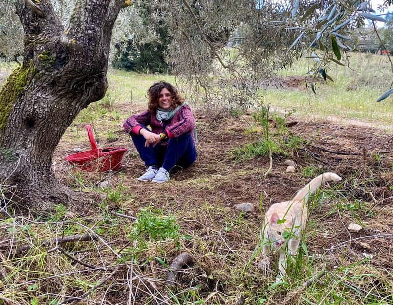 Near Cagliari: Wild Herbs and Healing at "In Our Garden" - Infused oils and smudge sticks