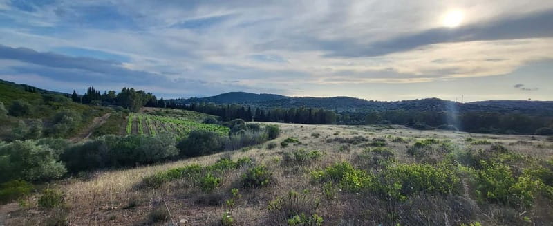 Near Cagliari: Wild Herbs and Healing at "In Our Garden" - Getting there from Cagliari without a car