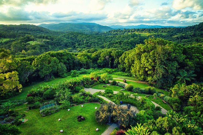 Near Gold Coast: Crystal Castle Admission Ticket - Key things to know before you go