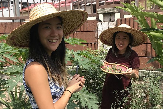 New Malaysian Kitchen Cooking Class and Garden Tour - Starting with flower tea and the edible garden