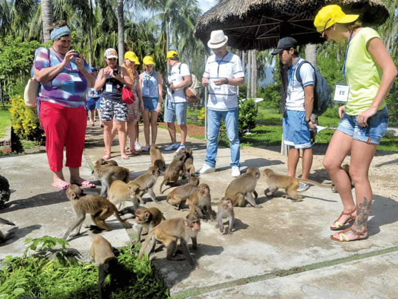 Nha Trang: Monkey Island with Orchids Island Combo Ticket - Why combine Monkey Island with Orchid Island?