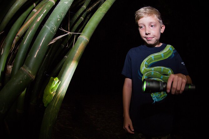Night Walk in Cairns Botanic Gardens - Let's Go Buggin - How much photography help should you expect?
