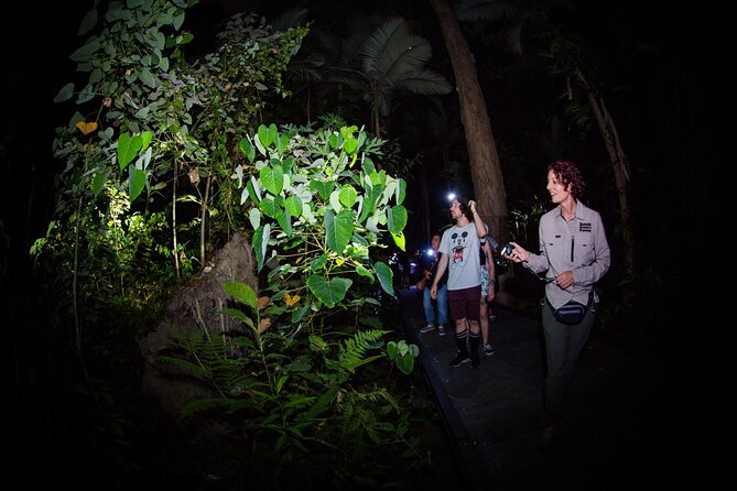 Night Walk in Cairns Botanic Gardens - Let's Go Buggin - What to bring and how to prepare