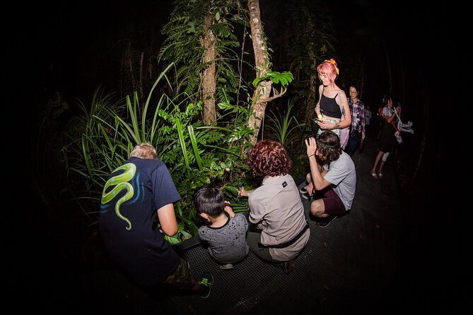 Night Walk in Cairns Botanic Gardens - Let's Go Buggin - Daytime or night session?