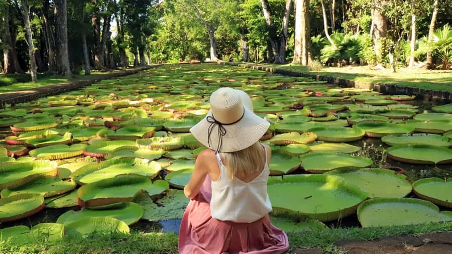 North Tour: Port Louis, Caudan, Citadelle, Botanical Garden - Key points to know before booking