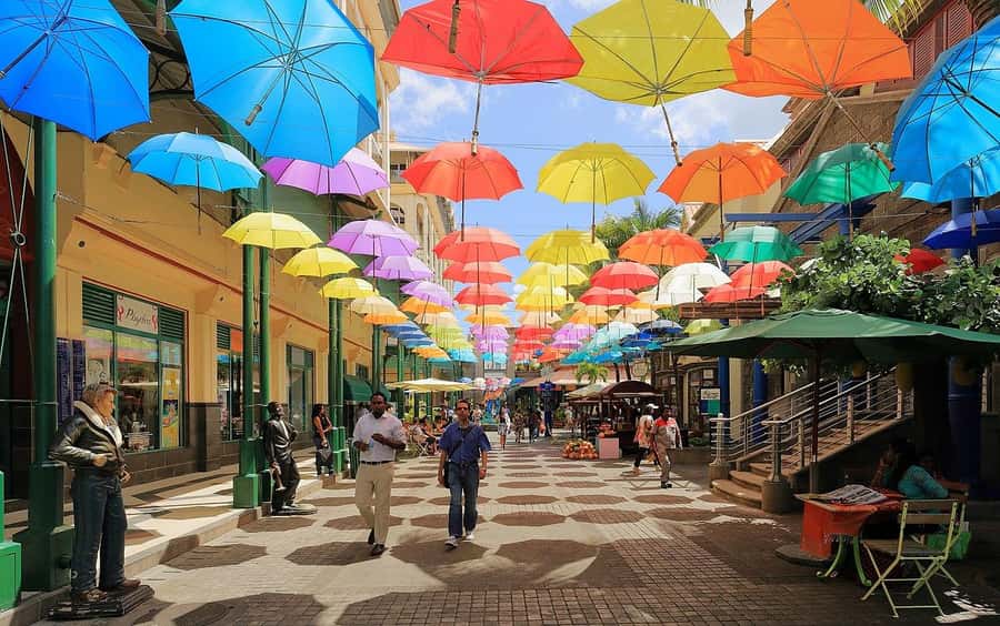 North Tour: Port Louis, Caudan, Citadelle, Botanical Garden - Port Louis Local Market: the most immediate look at local life