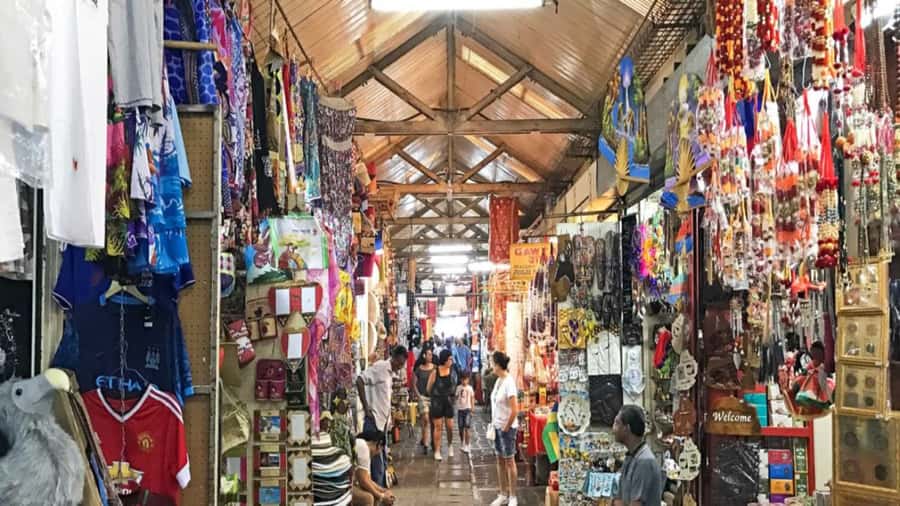 North Tour: Port Louis, Caudan, Citadelle, Botanical Garden - Who will enjoy this tour most