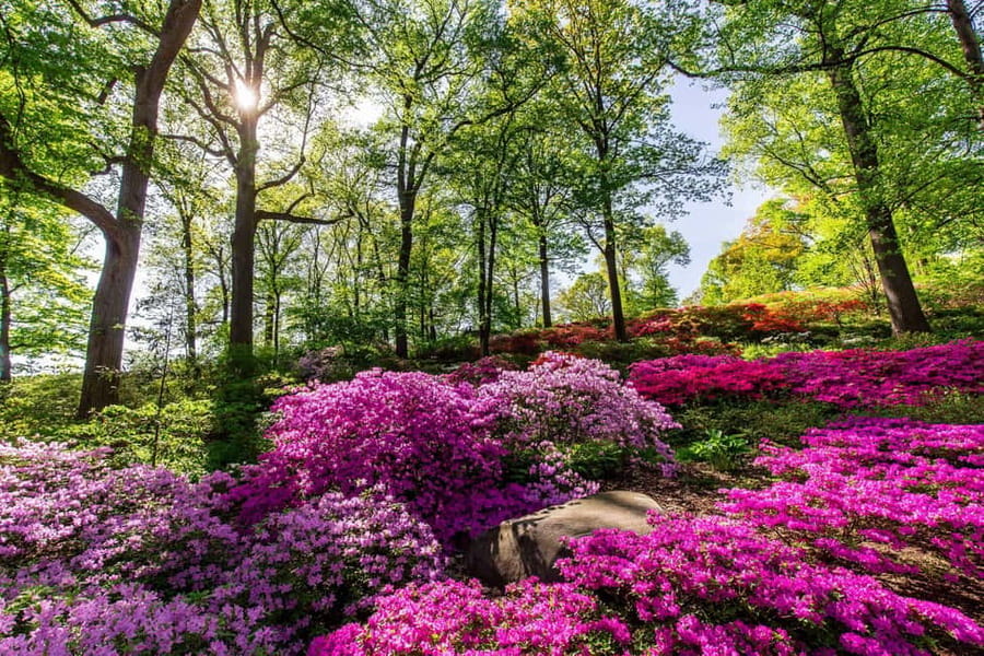 NYC: New York Botanical Garden Pass - Food, rest stops, and the cost of staying all day