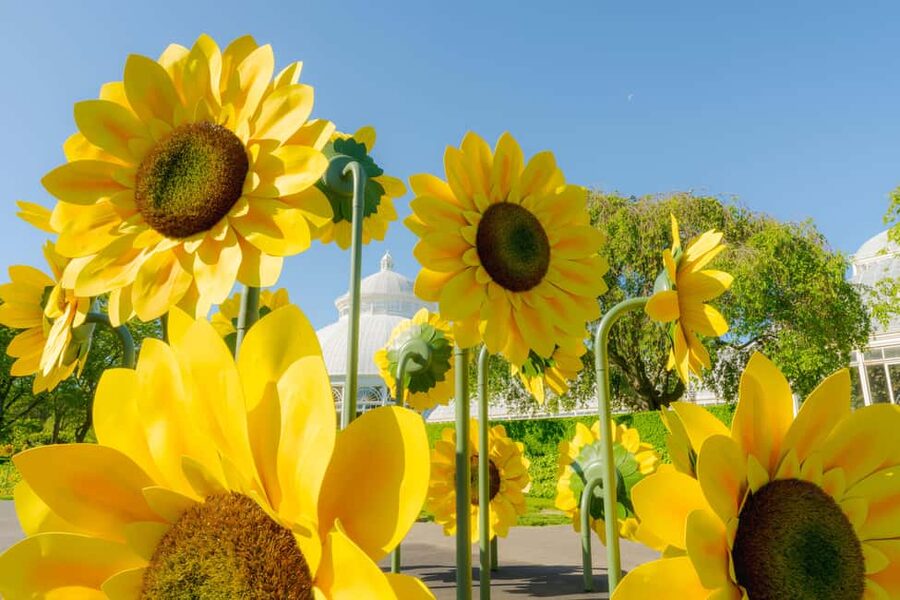 NYC: New York Botanical Garden Pass - What your $35 pass actually covers
