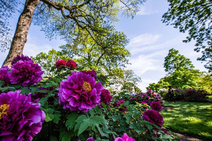 NYC: New York Botanical Garden Pass - The Enid A. Haupt Conservatory is the indoor highlight