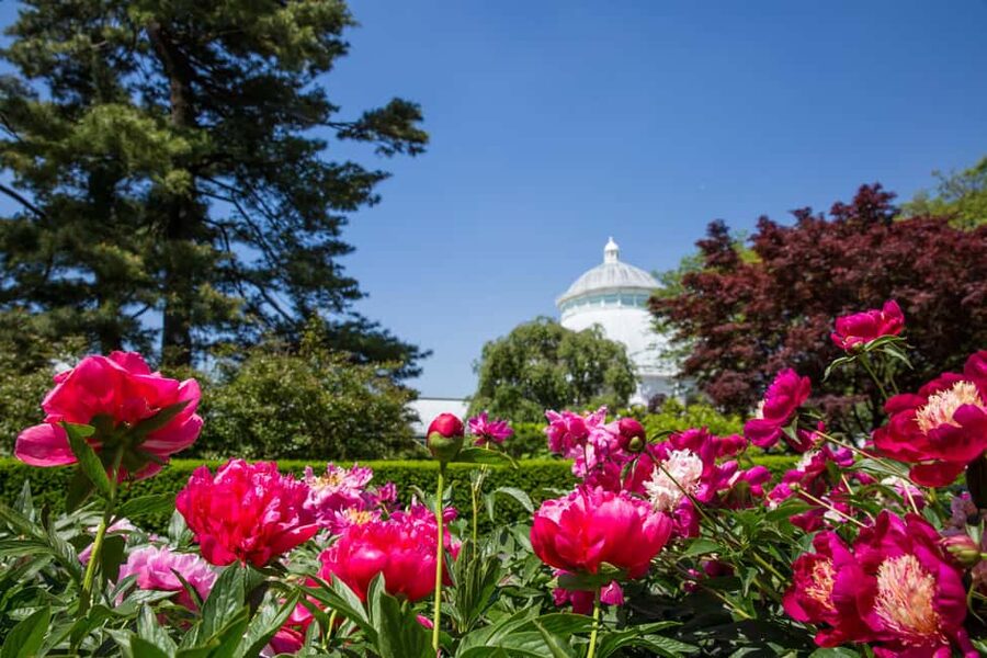 NYC: New York Botanical Garden Pass - Use the tram as a planning tool, not just a ride