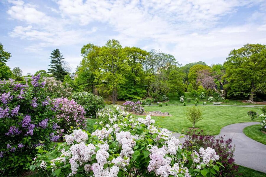 NYC: New York Botanical Garden Pass - Van Gogh’s Flowers, May 24 through October 26, 2025