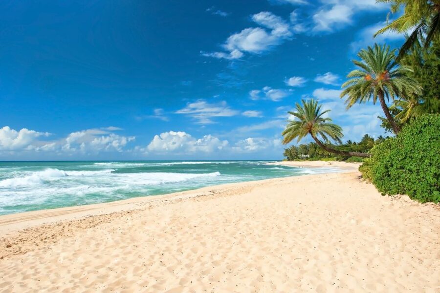 Oahu: Guided Tour of North Shore and Waimea Botanical Garden - Oahu’s East End and Hanauma Bay coastline
