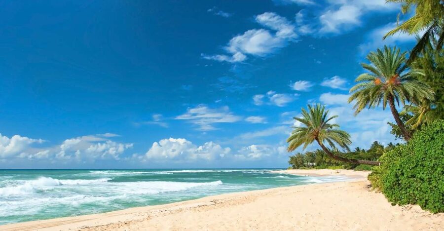 Oahu: Guided Tour of North Shore and Waimea Botanical Garden - North Shore beaches and Sunset Beach