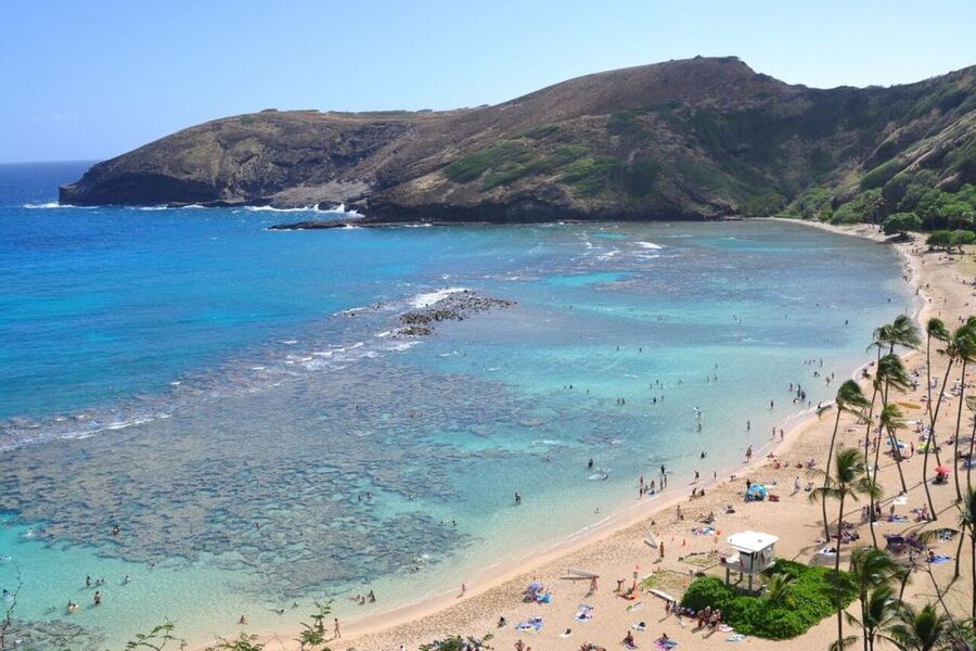 Oahu: Guided Tour of North Shore and Waimea Botanical Garden - Dole Plantation and the final pineapple treat
