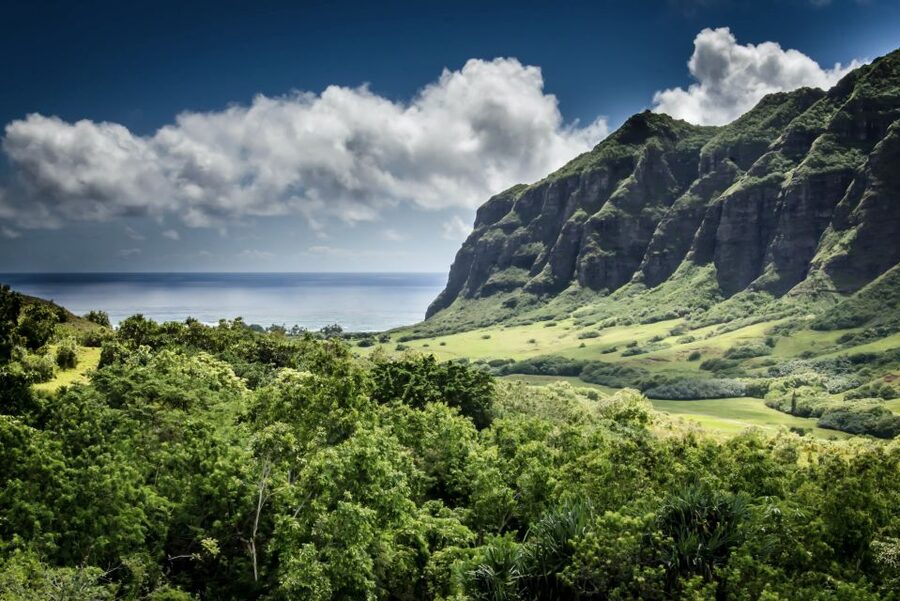 Oahu Hidden Gems & Waimea Botanical Garden/Waterfall tour - Key points to know before booking