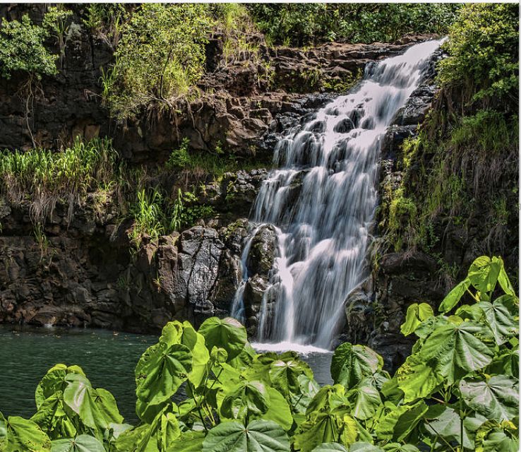 Oahu Hidden Gems & Waimea Botanical Garden/Waterfall tour - A full island day beyond Waikiki
