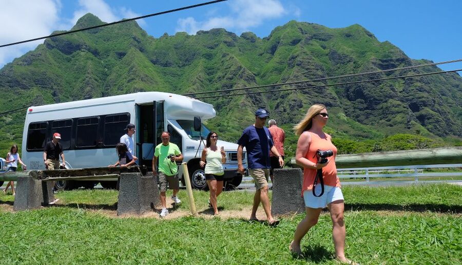 Oahu Hidden Gems & Waimea Botanical Garden/Waterfall tour - Dole Plantation: a brief pineapple stop