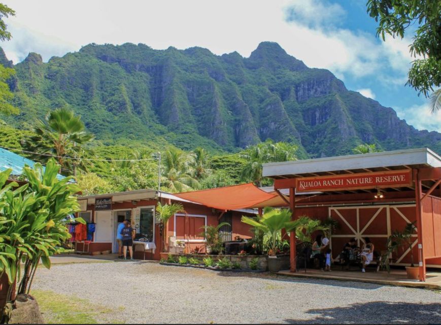 Oahu Hidden Gems & Waimea Botanical Garden/Waterfall tour - The macadamia nut farm stop