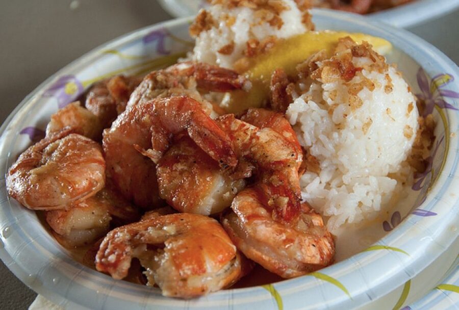 Oahu Hidden Gems & Waimea Botanical Garden/Waterfall tour - North Shore views and local food